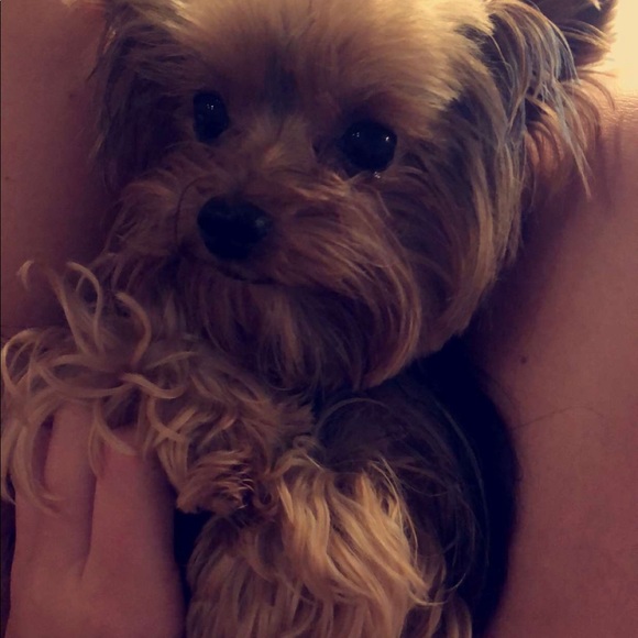 Meet your Posher, Karen - Picture 1 of 1